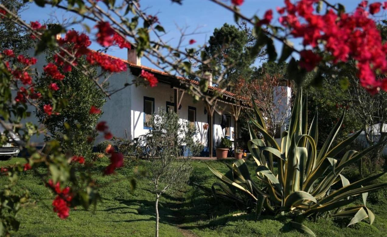 Monte da Choça Sao Teotonio Exterior foto